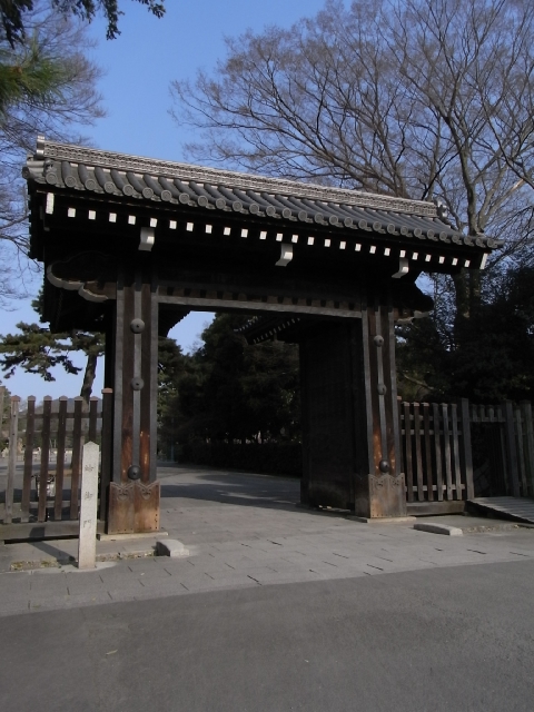 京都御苑の枝垂れ桜満開_f0000459_22261894.jpg