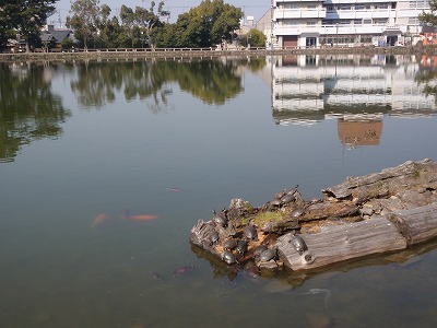 c0180460_0314136.jpg