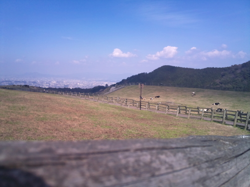 e0177961_22251471.jpg