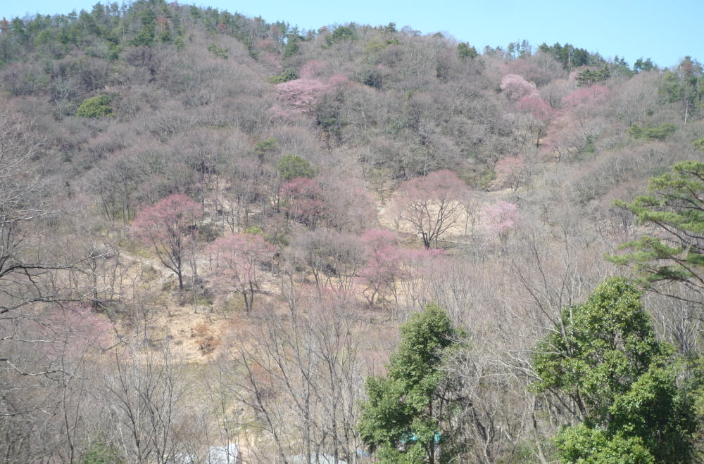 b0129962_1639949.jpg