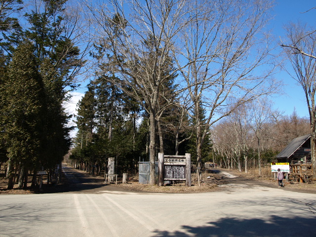 春の苫小牧研究林 2011_d0153062_852819.jpg