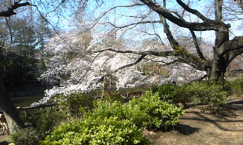 e0212073_1610598.jpg