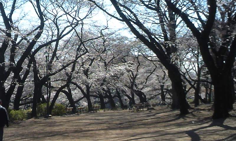e0212073_16345550.jpg