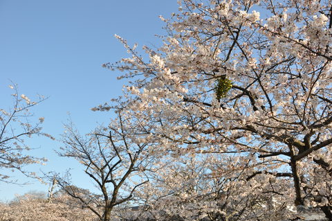 b0190474_18301948.jpg