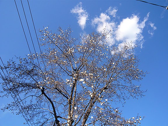 e0159875_16561343.jpg
