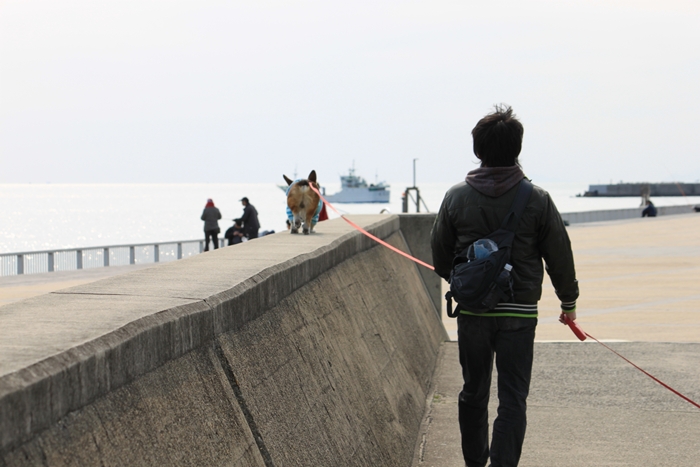 大蔵海岸公園へＧＯ．_f0136675_22243543.jpg