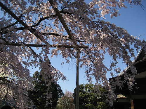 c0229483_20381016.jpg