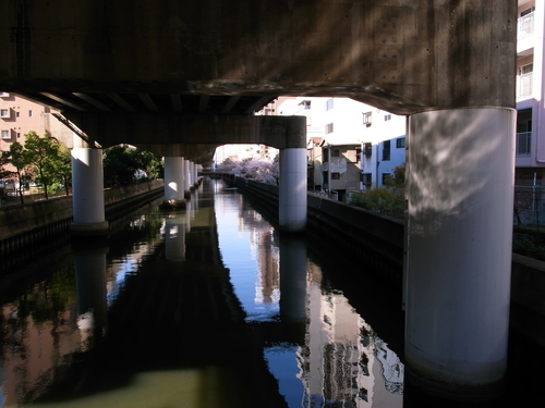 e0222883_2163376.jpg