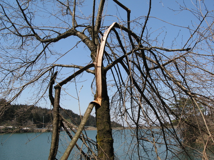 d0047885_22462883.jpg