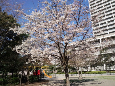 f0091785_2161580.jpg