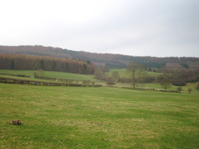 f0141785_2320422.jpg