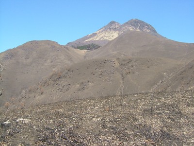 f0227892_1915898.jpg