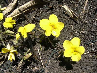 f0227892_19521990.jpg