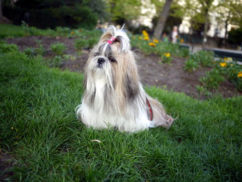 c0090198_4133785.jpg