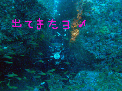 e0115199_0204878.jpg