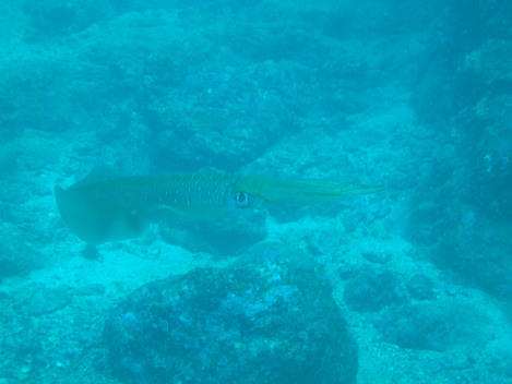 e0115199_0255815.jpg