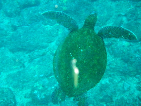 e0115199_0375970.jpg