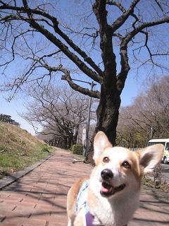 c0126703_16463738.jpg