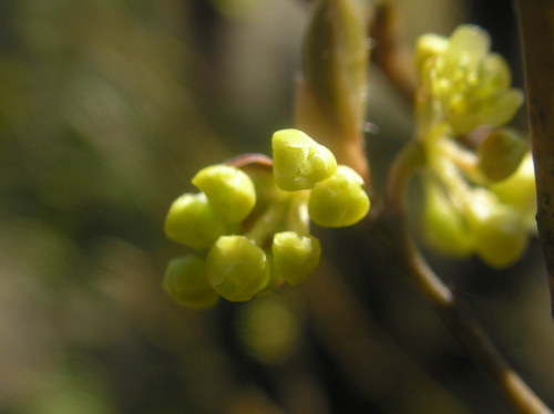 c0156104_0463374.jpg