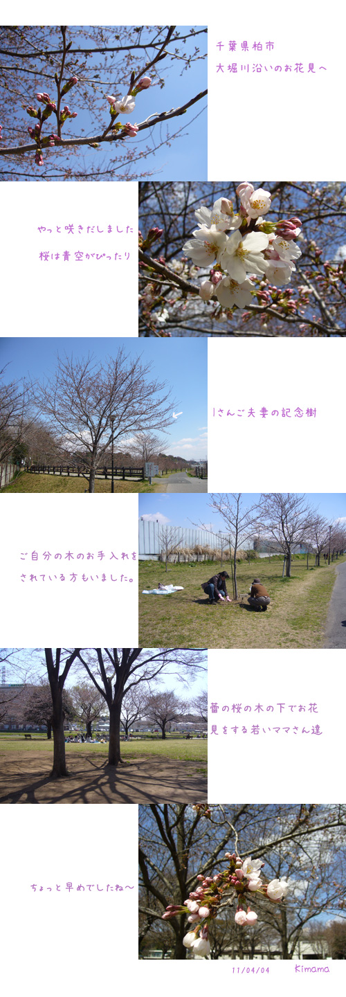 c0051105_23345574.jpg