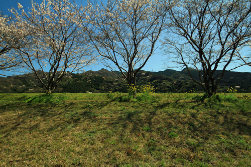 b0014607_9555058.jpg