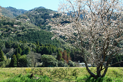 b0014607_9561986.jpg
