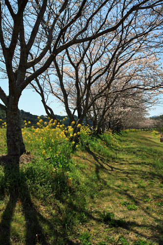 b0014607_956670.jpg