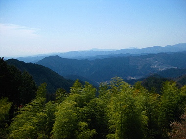 奥武蔵ラン_a0036808_15462956.jpg