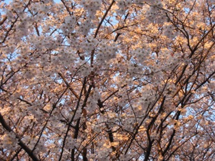 e0000910_14392420.jpg