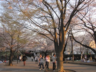 e0000910_1450739.jpg