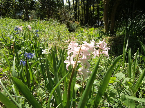 f0230410_22201270.jpg
