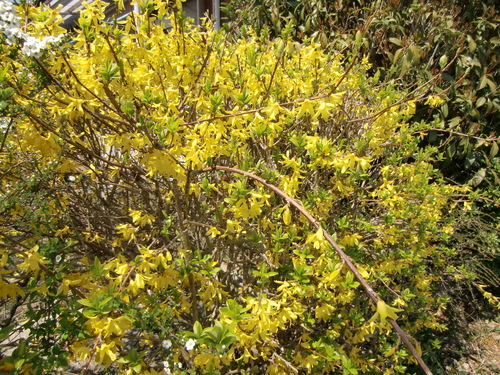 f0230410_22253943.jpg