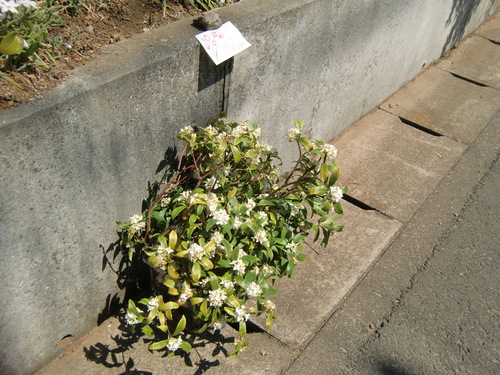 f0230410_2230597.jpg
