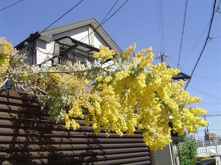 a0114314_10344031.jpg