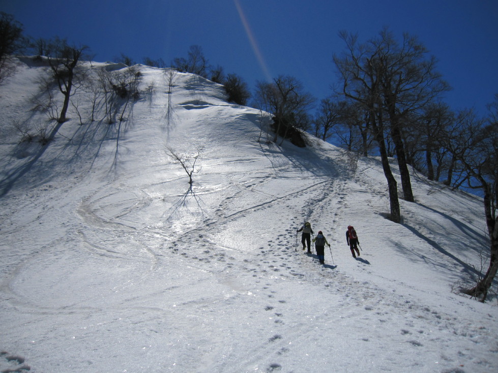 4月　荒島岳（シャクナゲ平まで）_d0103314_23243542.jpg