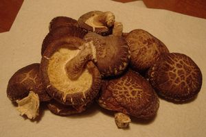 干し椎茸を作ってみた_e0234016_174551.jpg