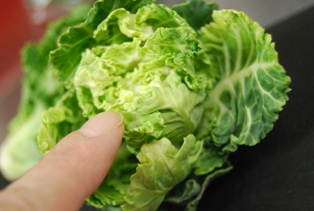 食材あれこれ・・・_e0025817_22272838.jpg