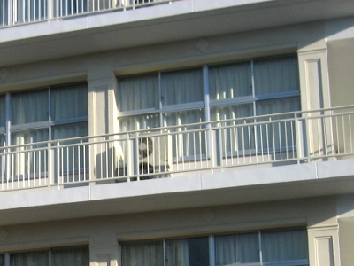 土佐女子中学高等学校南校舎耐震補強工事 竣工 Only One 建築設計 土佐女子中学高等学校南校舎耐震補強工事 竣工 Only One 建築設計