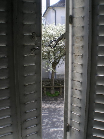 c0124619_327592.jpg
