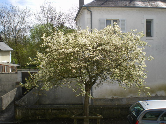 c0124619_328328.jpg