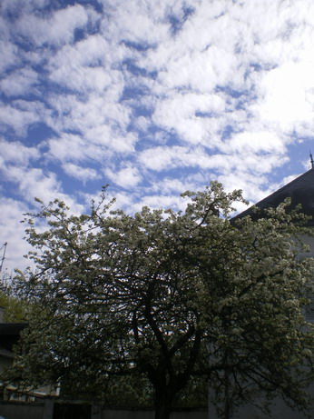 c0124619_3294128.jpg