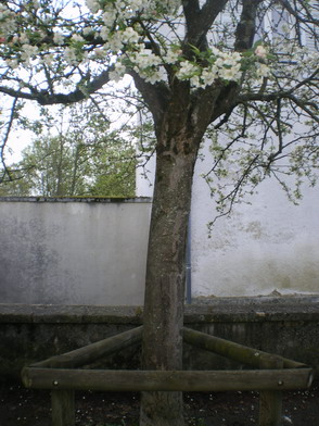 c0124619_331483.jpg
