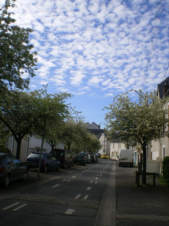 c0124619_3341228.jpg