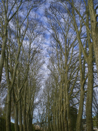 c0124619_3353310.jpg
