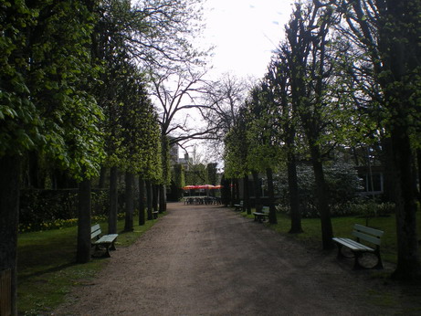 c0124619_336435.jpg