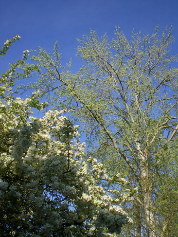 c0124619_3373368.jpg