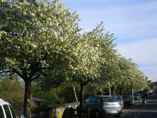c0124619_3381018.jpg