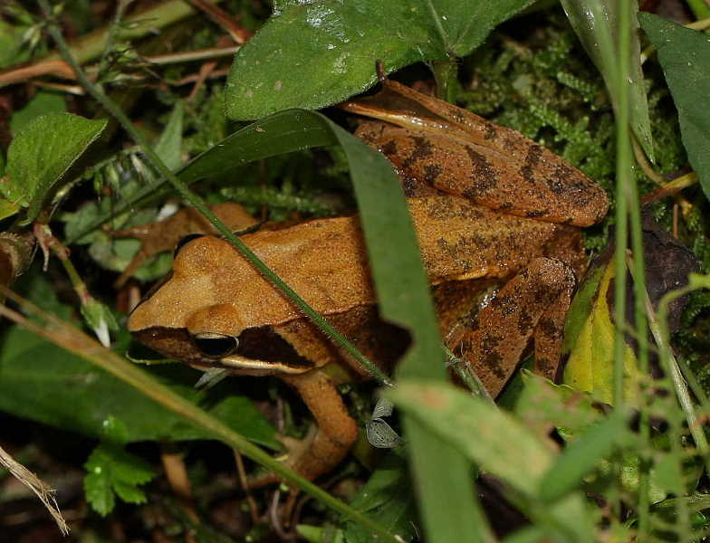 f0181821_16272150.jpg