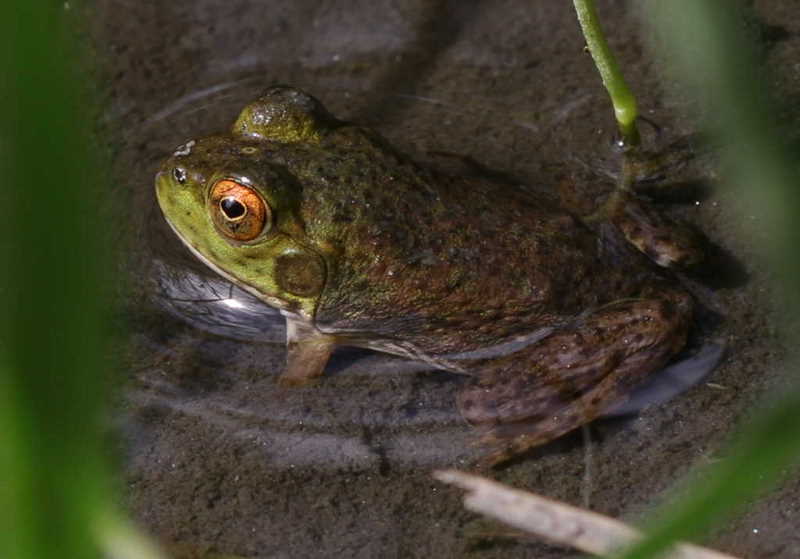 f0181821_16275046.jpg