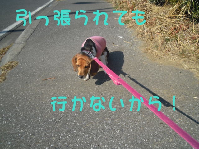 c0166622_10361421.jpg